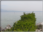 foto Lago di Garda